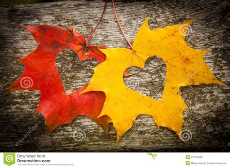 fall heart images|Fall Heart Leaves Pictures, Images and Stock Photos.